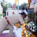 Fire Services Week  Fire & Emergency Services deptt begins week long activities 
