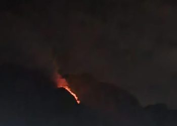 Fire breaks out in Srinagar’s upper forest area