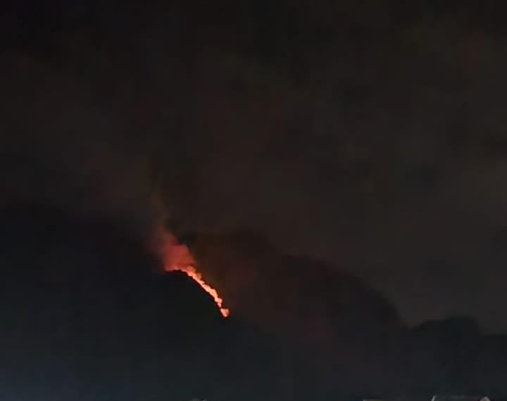 Fire breaks out in Srinagar’s upper forest area