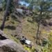 Two Soldiers Killed As Army Vehicle Falls Into Gorge Near LoC In Rajouri