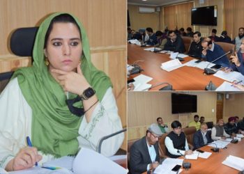 Execute developmental & beautification works of Srinagar at industrial scale: Div Com Kashmir