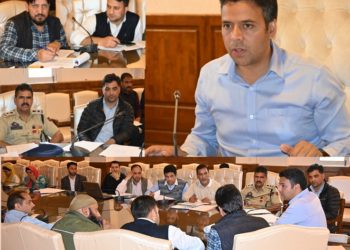 DC chairs MD-DLTFC meeting at Kulgam