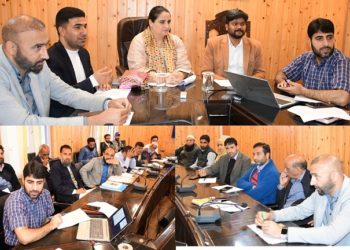 DDC Chairperson Gbl chairs DPC meeting to approve DCP 2023-24 