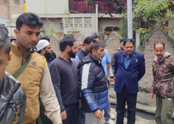 Deputy Mayor SMC tours Alochi Bagh; reviews civic services facilities & other development works 