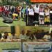 Rural Games and Mini Marathon held in run up to Tithwal Day 