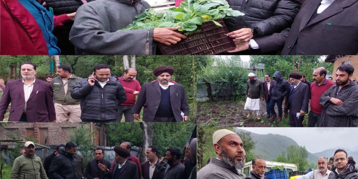DC Kupwara visits hailstorm affected areas of the district