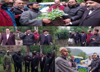 DC Kupwara visits hailstorm affected areas of the district