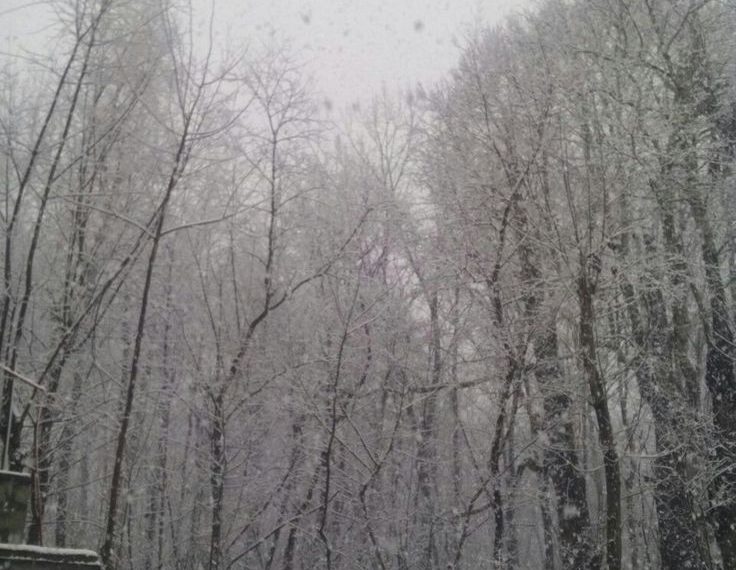 Snowfall Update