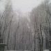 Snowfall Update