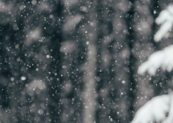 Snowfall Finally Returns to Kashmir Region After Month-Long Dry Spell