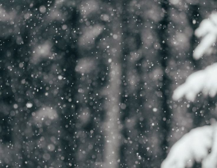 Snowfall Finally Returns to Kashmir Region After Month-Long Dry Spell