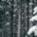 Snowfall Finally Returns to Kashmir Region After Month-Long Dry Spell