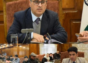 PM Award of Excellence: DC B’pora discusses achievements under various schemes