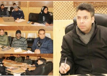 DC Srinagar chairs DLIC meet on implementation of PM Vishwakarma; Accords approval for 295 cases