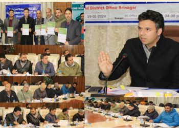 DC Srinagar chairs District Level Bankers Review Committee Meet; Stresses bringing more youth under ambit of self-employment