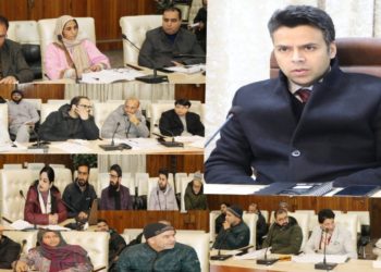 DC Srinagar reviews implementation of self employment generation schemes