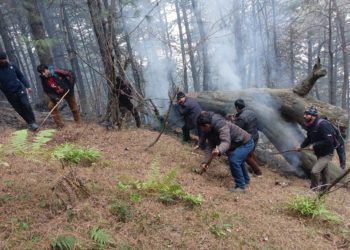 Dry spell triggers massive forest fire in Kulgam