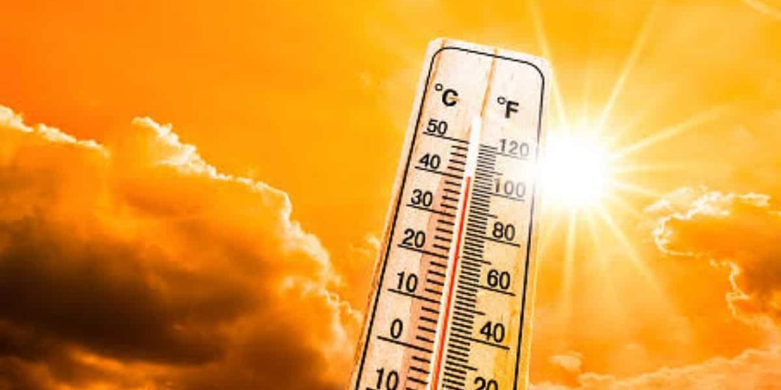 At 15.0°C, Srinagar records warmest January day in 14 years