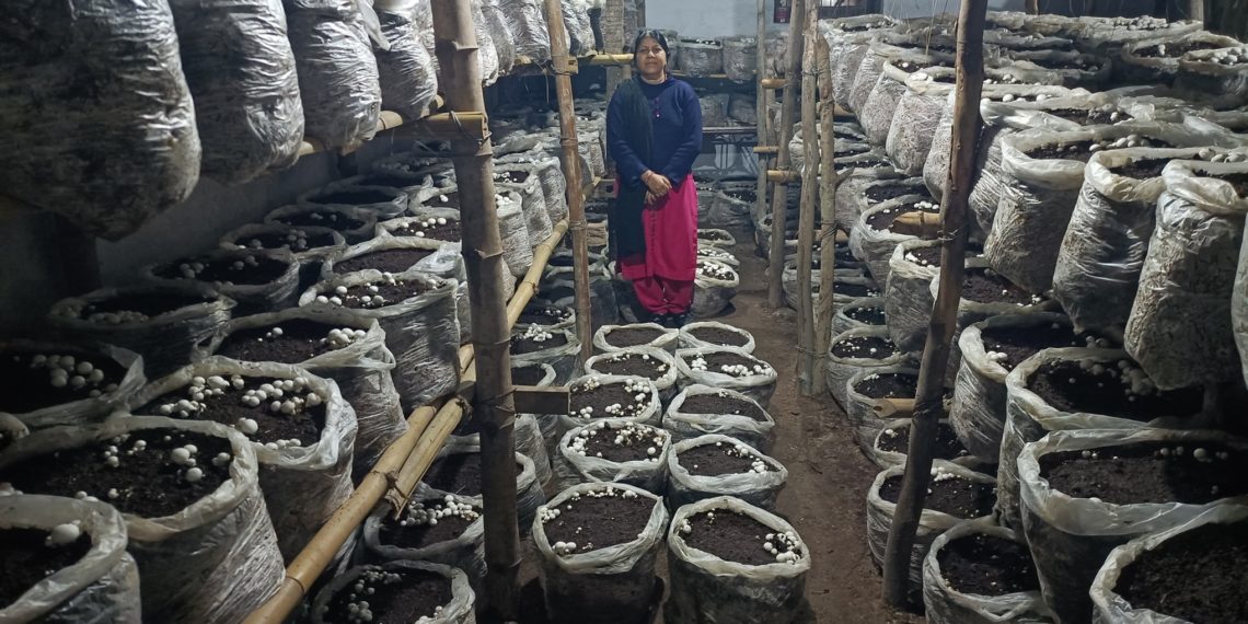 Kathua’s Mushroom Marvel: Agriculture Department’s guidance Sparks Rural Women’s Economic Triumph