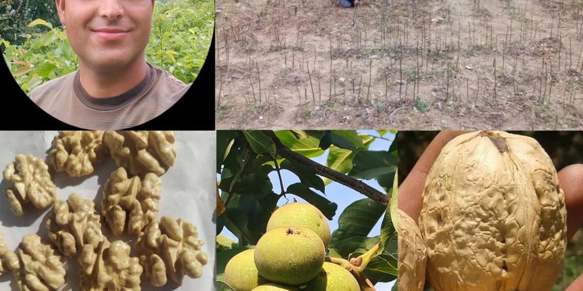 Empowering Lives through Horticulture: Sunil Singh cultivates success by developing State-of-the-art nursery boasting 40,000 plants