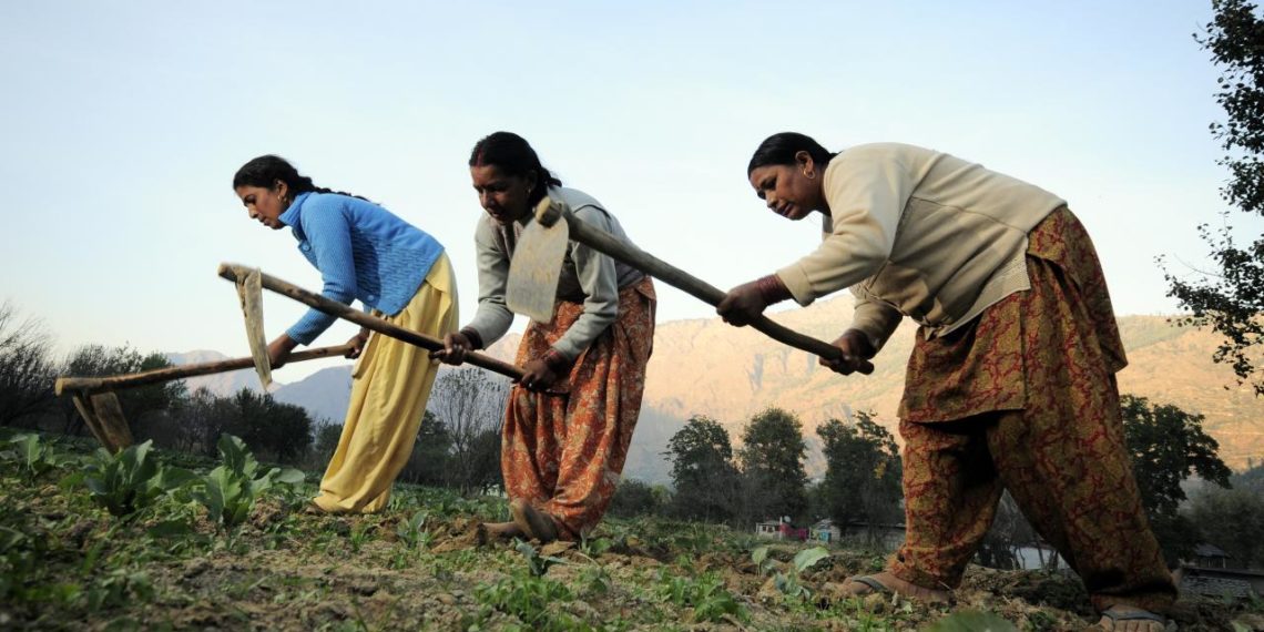 HOW FEMALE FARMERS ARE REVOLUTIONIZING AGRICULTURE IN KASHMIR VALLEY