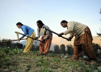 HOW FEMALE FARMERS ARE REVOLUTIONIZING AGRICULTURE IN KASHMIR VALLEY