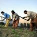 HOW FEMALE FARMERS ARE REVOLUTIONIZING AGRICULTURE IN KASHMIR VALLEY