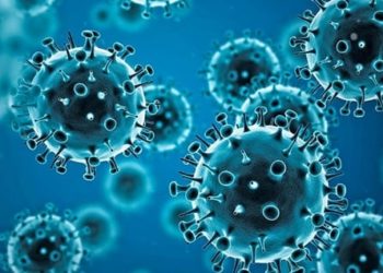 774 Fresh Covid Cases In India