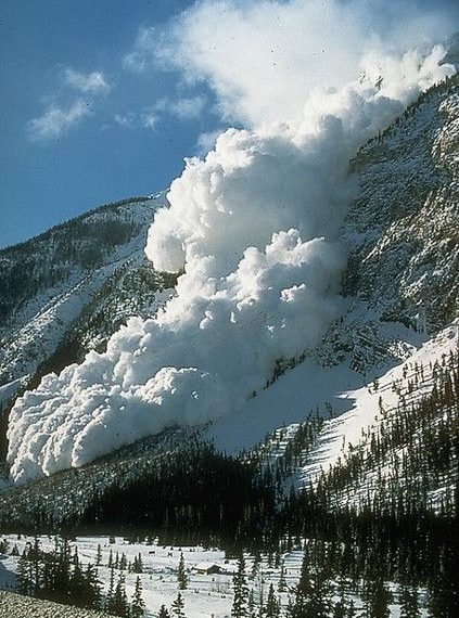 Avalanche blocks Sindh stream in Sonamarg