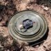 Army destroys landmine found near LoC in Poonch