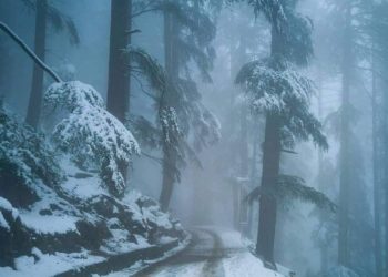 Rains lash parts of plains in Kashmir, snow in higher reaches including Gulmarg