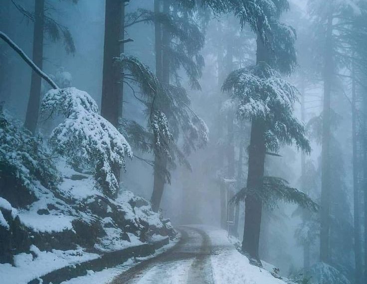 Rains lash parts of plains in Kashmir, snow in higher reaches including Gulmarg