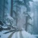Rains lash parts of plains in Kashmir, snow in higher reaches including Gulmarg