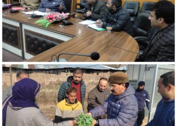 Director Agriculture conducts extensive tour of Bandipora, Ganderbal & Srinagar districts