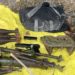 SF recover arms and ammunition in Surankote