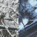 “Karnah Grapples with Prolonged Snowfall: Second Day of Highway Shutdown, Power Disruptions, and two houses damaged”