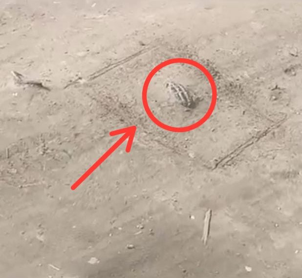 Rusted grenade found in Kishtwar