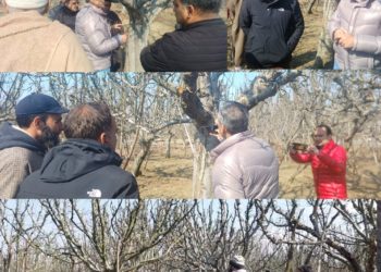 Professors of SKUAST-K Along with Horticulture Department Visits Sonawari and Reviewed leafminer status In Orchards