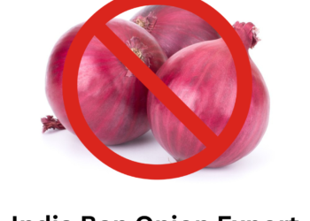 Onion export ban to continue till Mar 31: Govt