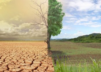 CLIMATE CHANGE IN THE HIMALAYAS:IMPACT ON KASHMIR’S ECOSYSTEM