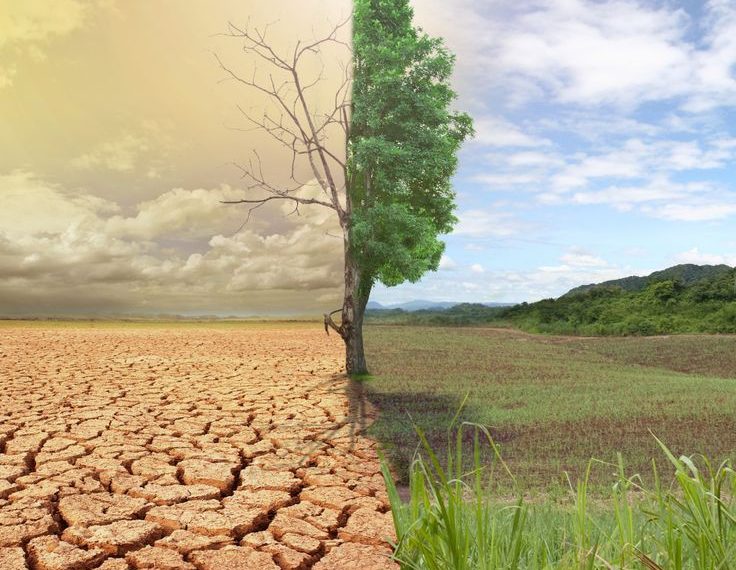 CLIMATE CHANGE IN THE HIMALAYAS:IMPACT ON KASHMIR’S ECOSYSTEM