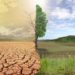 CLIMATE CHANGE IN THE HIMALAYAS:IMPACT ON KASHMIR’S ECOSYSTEM