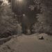 Rain, snow forecast in J&K during next 48 hours