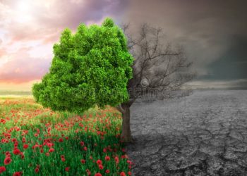 The Changing Landscape of Kashmir: Implications of Delayed Snowfall and the Shadow of Global Warming
