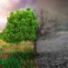 The Changing Landscape of Kashmir: Implications of Delayed Snowfall and the Shadow of Global Warming