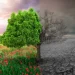 ecological-concept-tree-climate-ecological-concept-tree-climate-changing-landscape-137488805