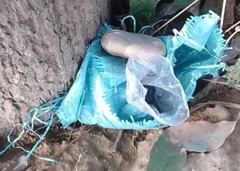 Security Forces Recover ‘Explosive’ near International Border in Kathua
