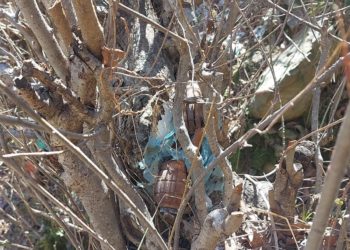 Two rusted grenades, bullets recovered in Rajouri