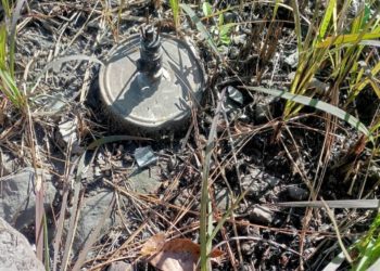 Three Anti-personnel Mines Defused Near LoC in J&K’s Poonch