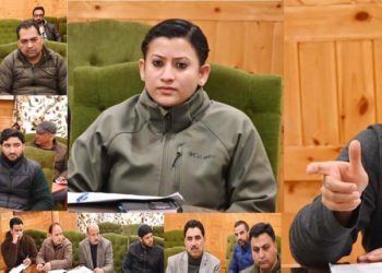 DEO Shopian chairs Nodal Officers meeting